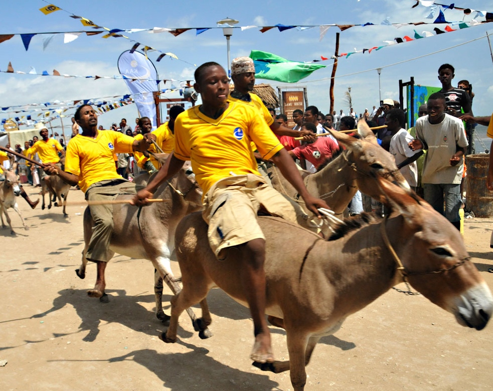 Lamu Cultural Festival Donkey Race